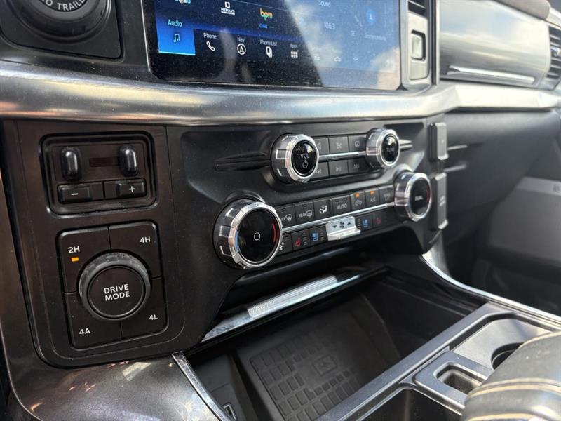 ford F-150 2022 - 14