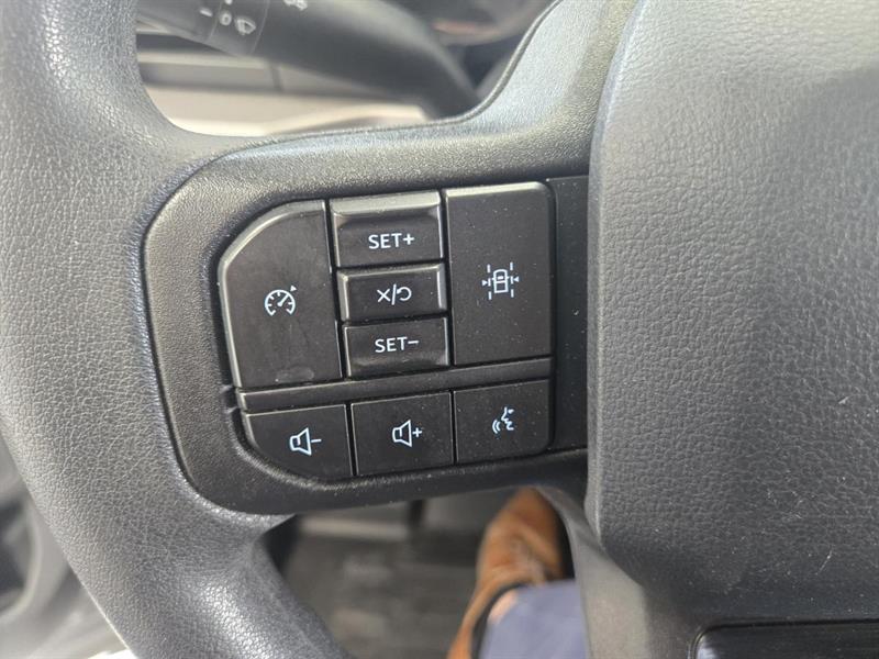 ford F-150 2022 - 19