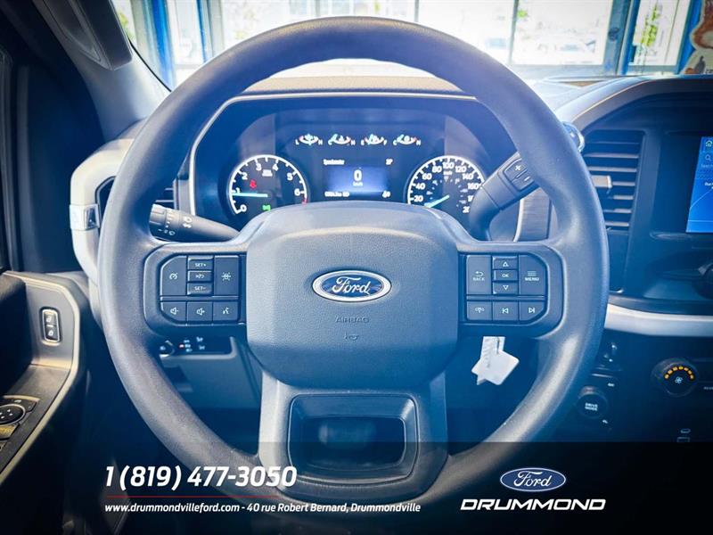 ford F-150 2022 - 10