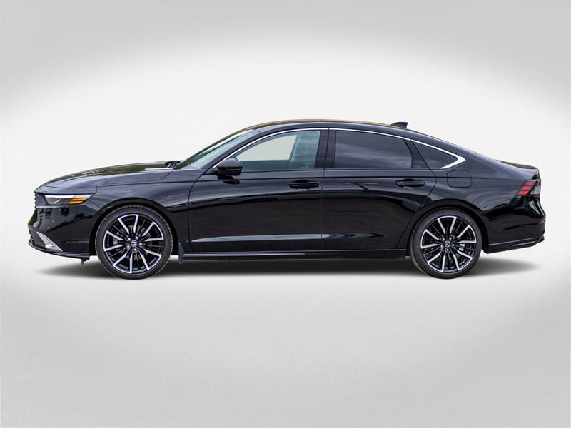 honda Accord Hybrid 2025 - 3