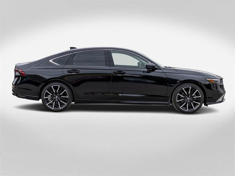honda Accord Hybrid 2025 - 6