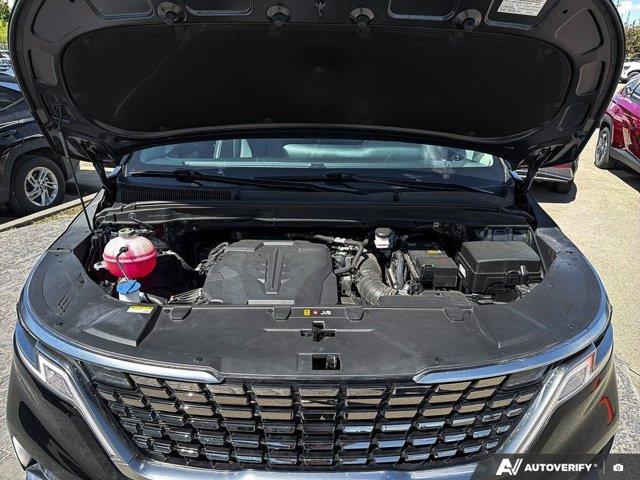 kia Carnival 2024 - 11