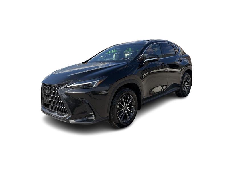 lexus NX 2025 - 6