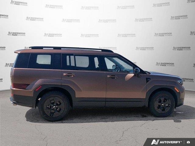 hyundai Santa Fe 2025 - 6