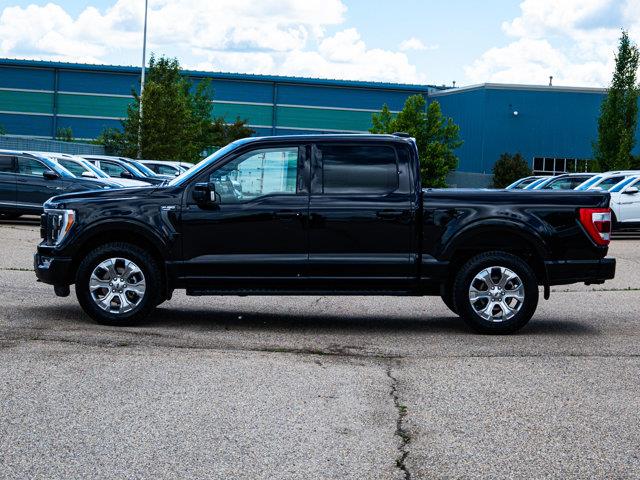 ford F-150 2023 - 10