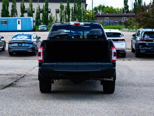 ford F-150 2023 - 15
