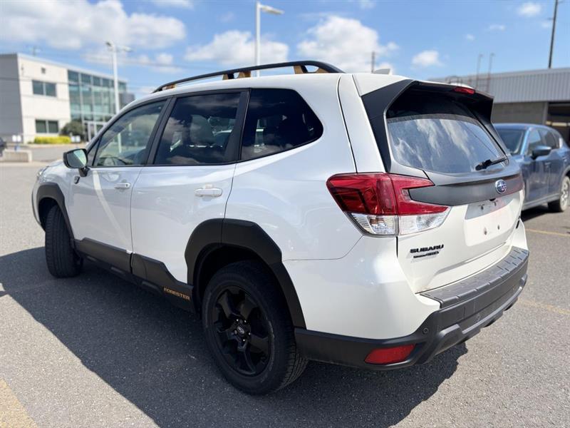 subaru Forester 2023 - 7