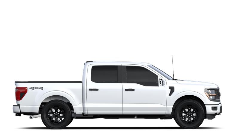 ford F-150 2024 - 5