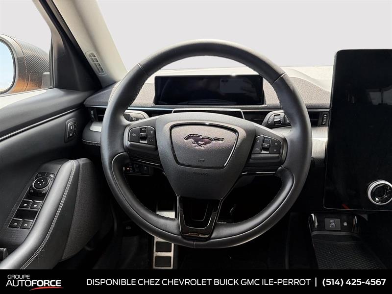ford Mustang Mach-E 2022 - 10