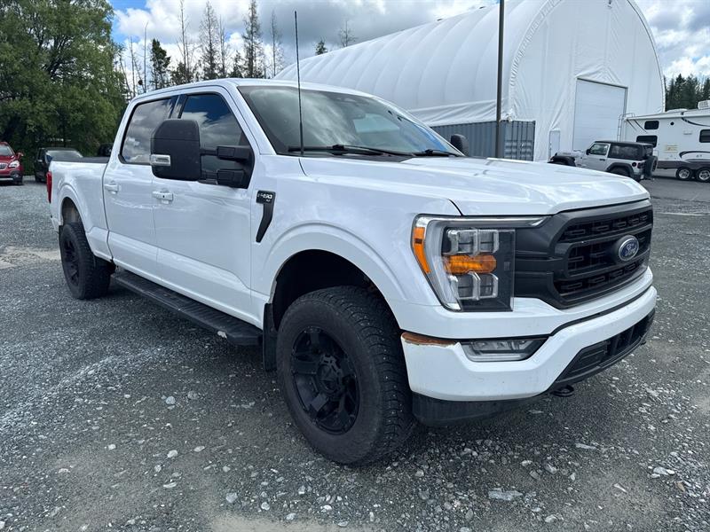 ford F-150 2021 - 3