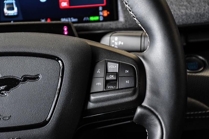 ford Mustang Mach-E 2025 - 20