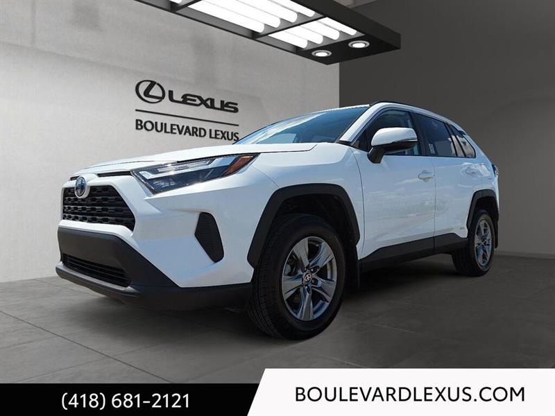 toyota RAV4 2024