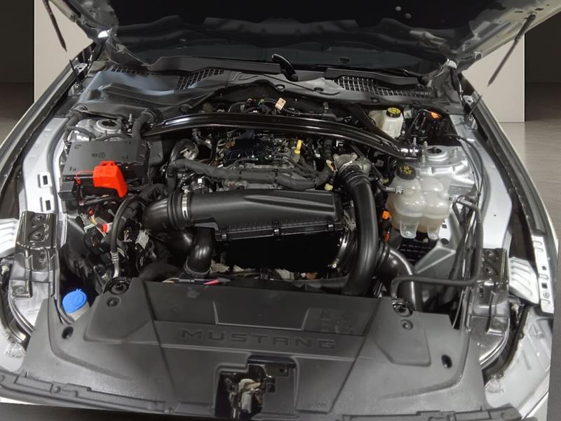 ford Mustang 2025 - 30