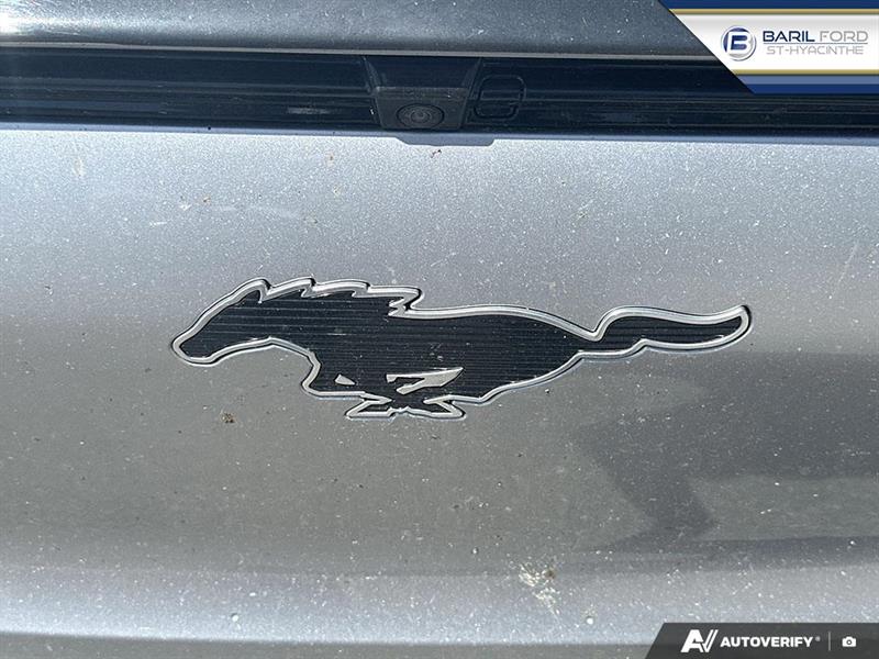 ford Mustang Mach-E 2021 - 9