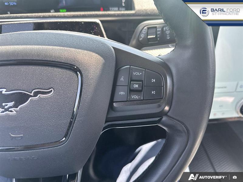 ford Mustang Mach-E 2021 - 15