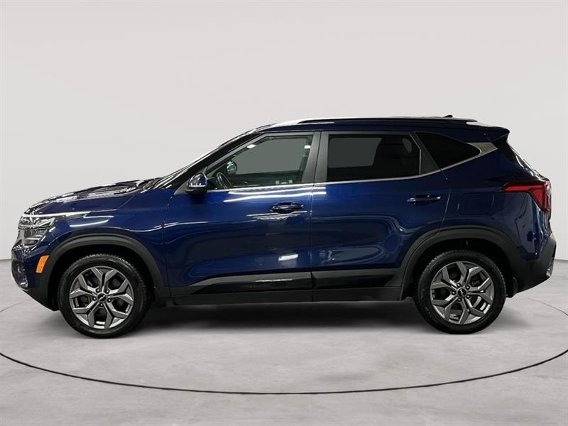 kia Seltos 2024 - 2