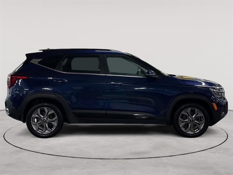 kia Seltos 2024 - 6