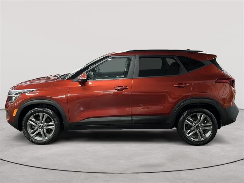 kia Seltos 2021 - 2