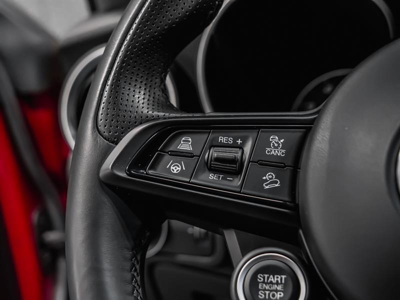 alfa romeo Stelvio 2021 - 14