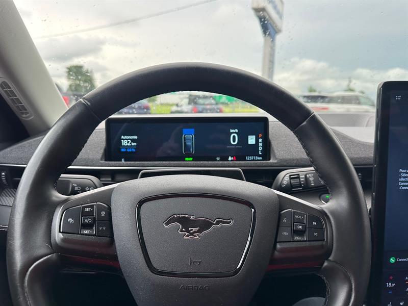 ford Mustang Mach-E 2021 - 11