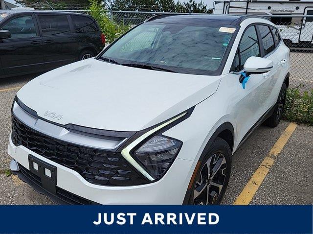 kia Sportage 2024