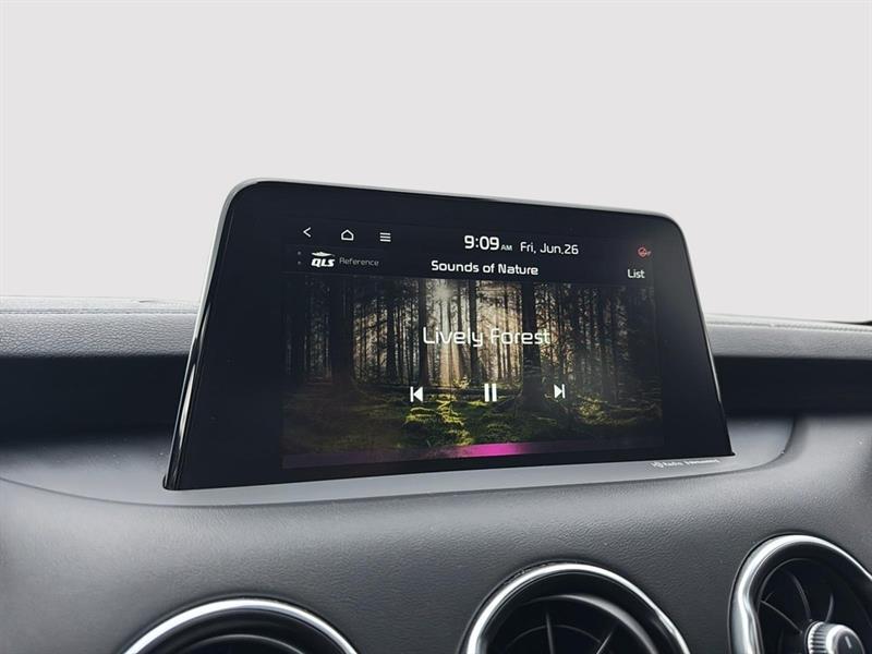 kia Stinger 2018 - 36