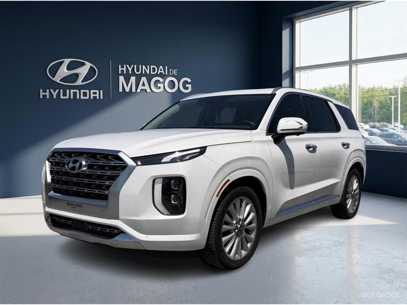 hyundai Palisade 2020