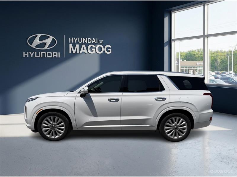 hyundai Palisade 2020 - 2