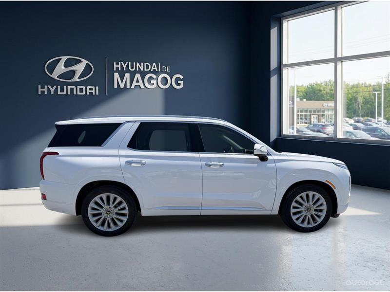 hyundai Palisade 2020 - 6