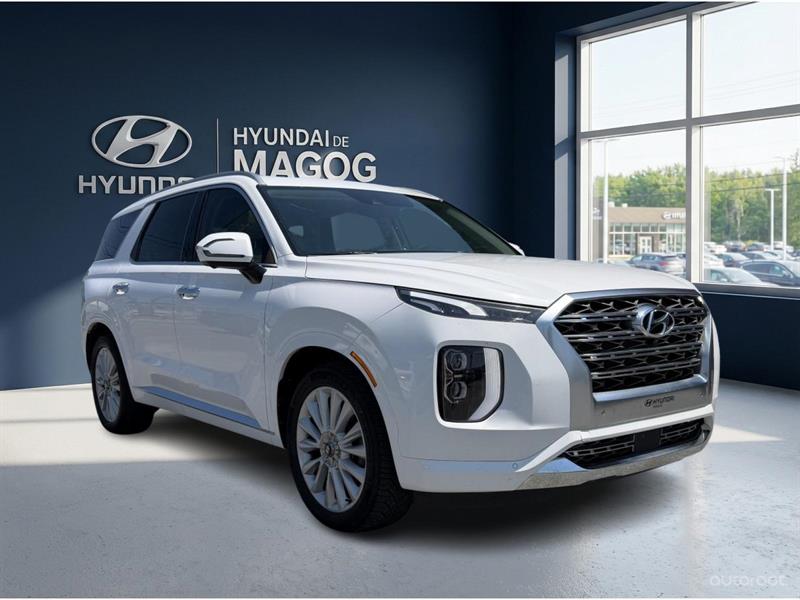 hyundai Palisade 2020 - 7
