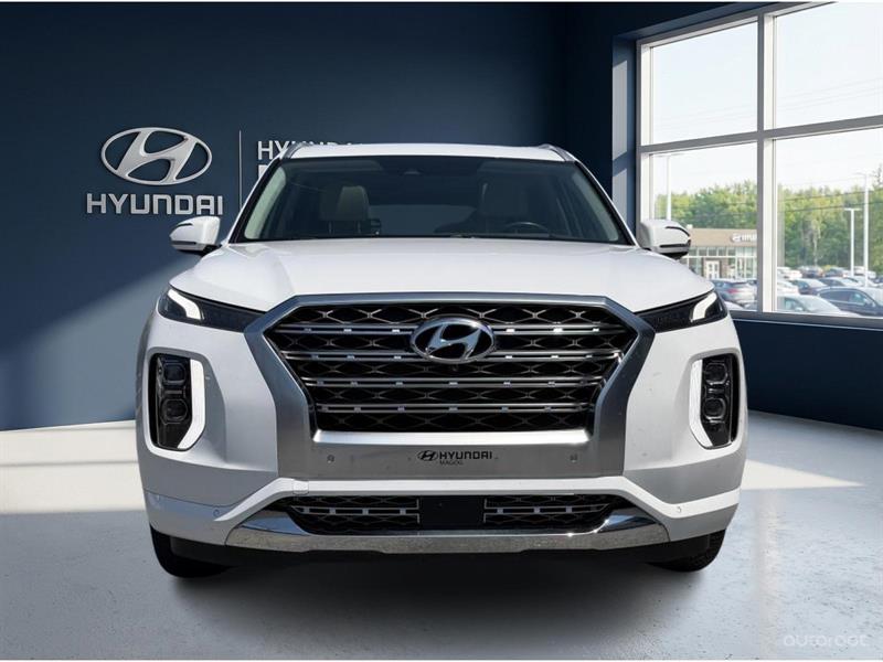 hyundai Palisade 2020 - 8