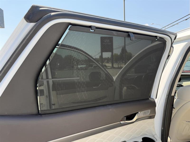 hyundai Palisade 2020 - 14