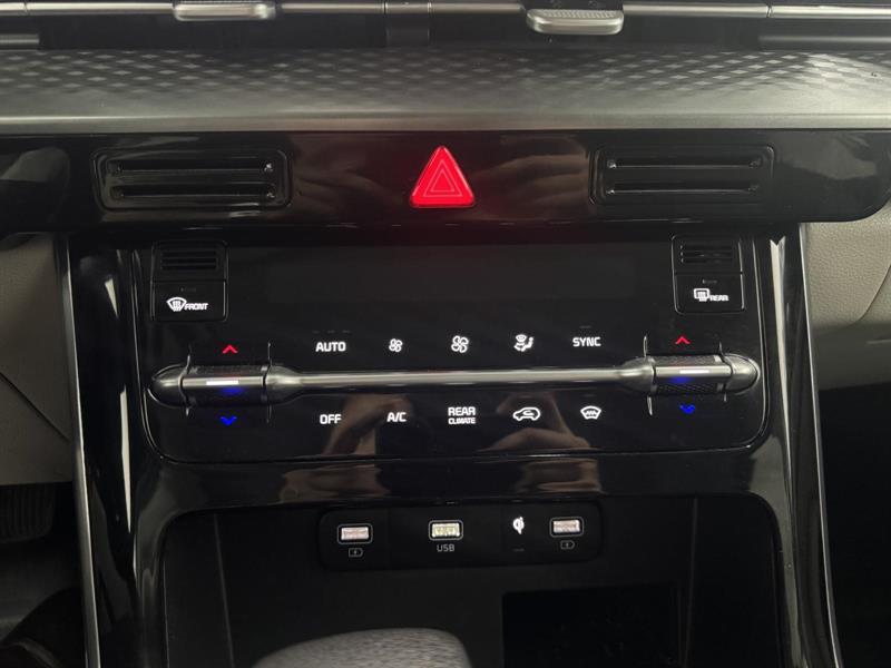kia Carnival 2022 - 15