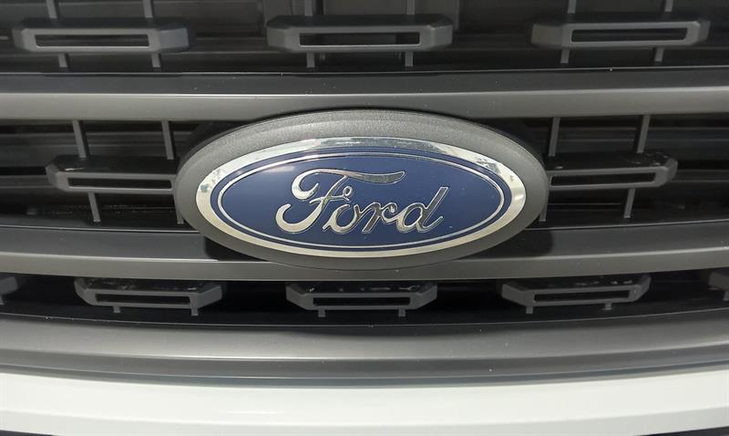 ford F-150 2023 - 11