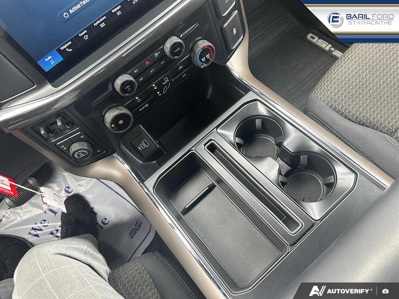 ford F-150 2025 - 19