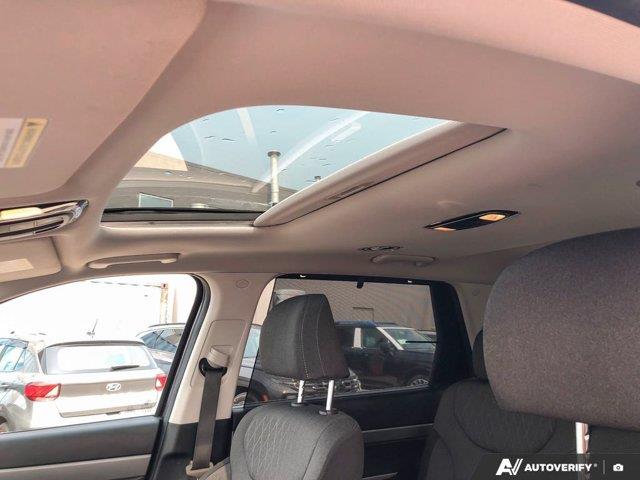 hyundai Palisade 2021 - 25