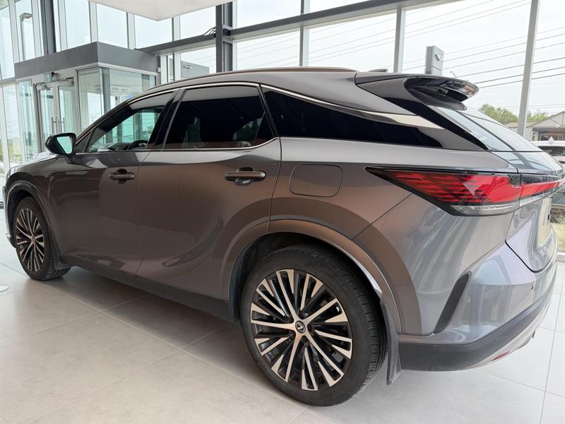 lexus RX350 2023 - 4