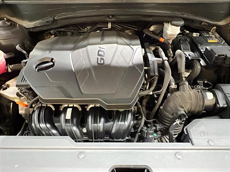 kia Sportage 2024 - 12