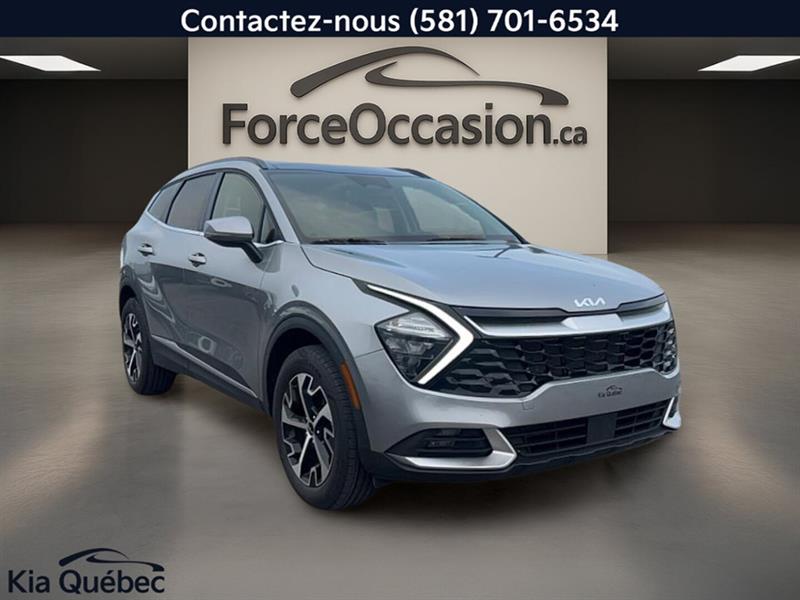 kia Sportage 2024 - 2