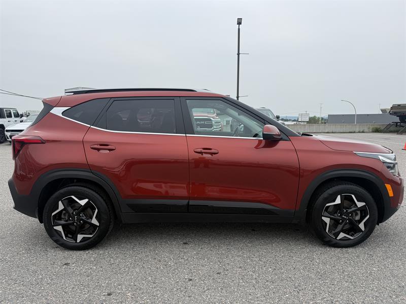 kia Seltos 2024 - 2