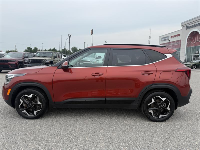 kia Seltos 2024 - 6