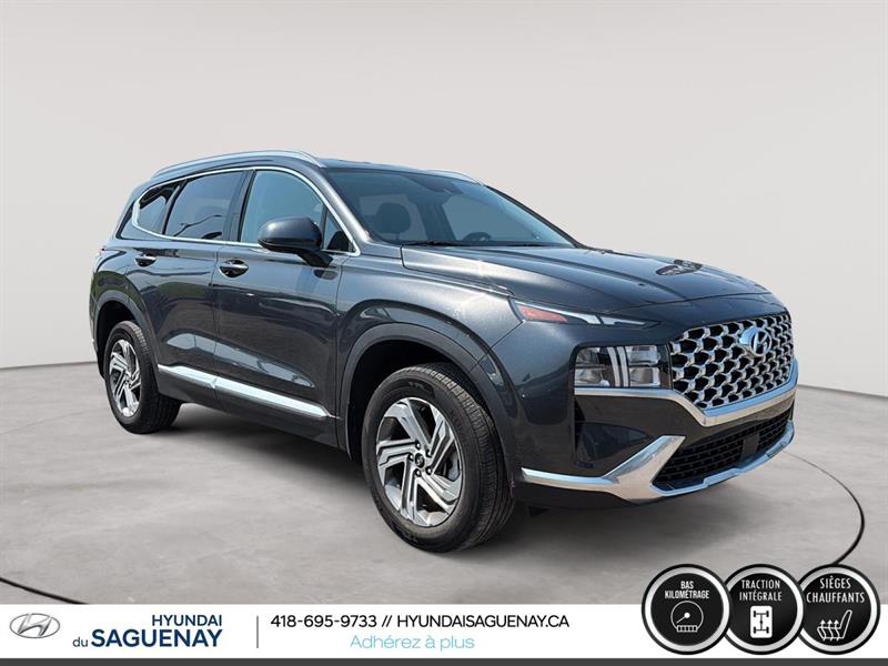 hyundai Santa Fe 2023 - 5