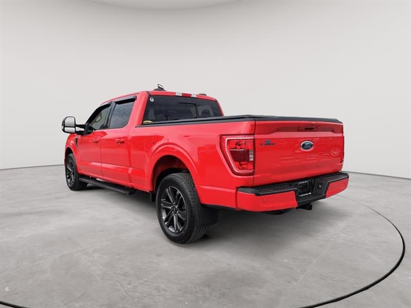 ford F-150 2022 - 3