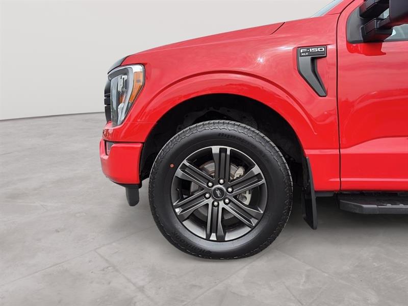 ford F-150 2022 - 17