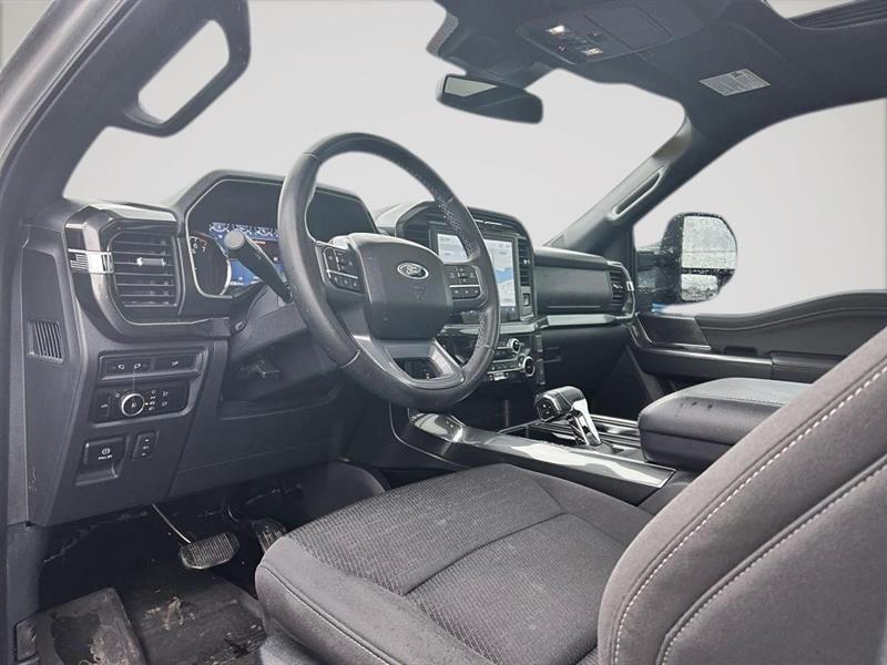ford F-150 2023 - 10