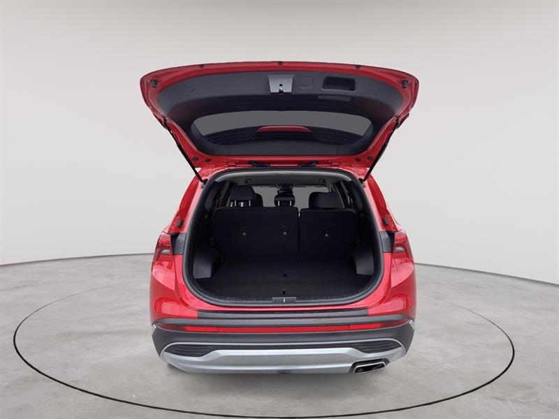 hyundai Santa Fe 2021 - 17