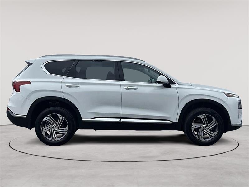 hyundai Santa Fe 2023 - 6