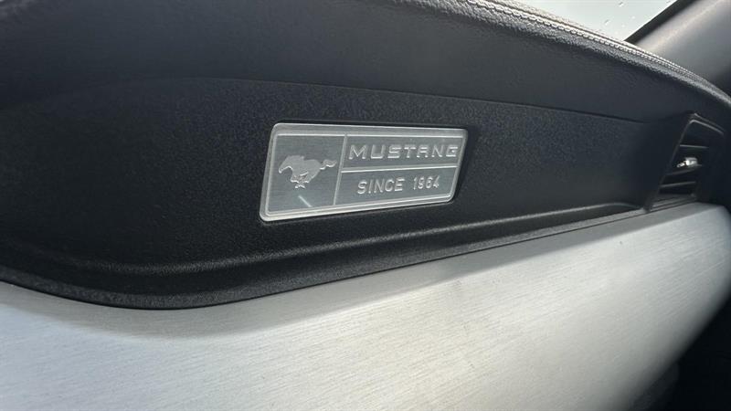 ford Mustang 2015 - 15
