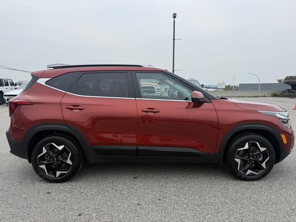 kia Seltos 2024 - 2