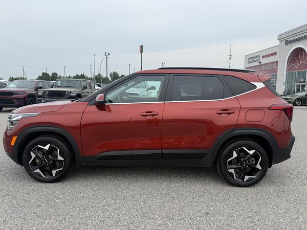 kia Seltos 2024 - 6